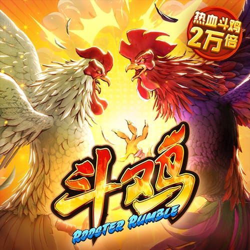 康利：约基奇与穆雷的组合让我想起小加和我 但他们比我们强多了